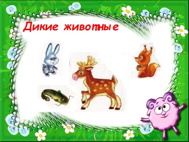 Дикие животные