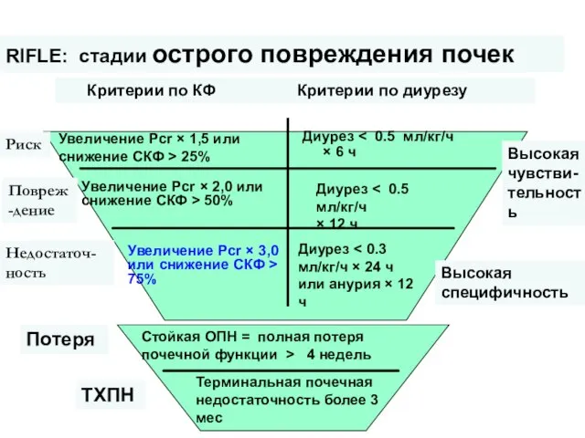 Acute Dialysis Quality Initiative (the first consensus criteria, 2003 г) RIFLE: