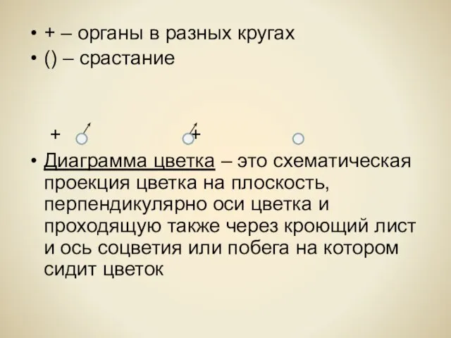 + – органы в разных кругах () – срастание + +