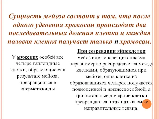 Сущность мейоза состоит в том, что после одного удвоения хромосом происходят