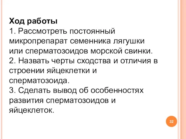 Ход работы 1. Рассмотреть постоянный микропрепарат семенника лягушки или сперматозоидов морской