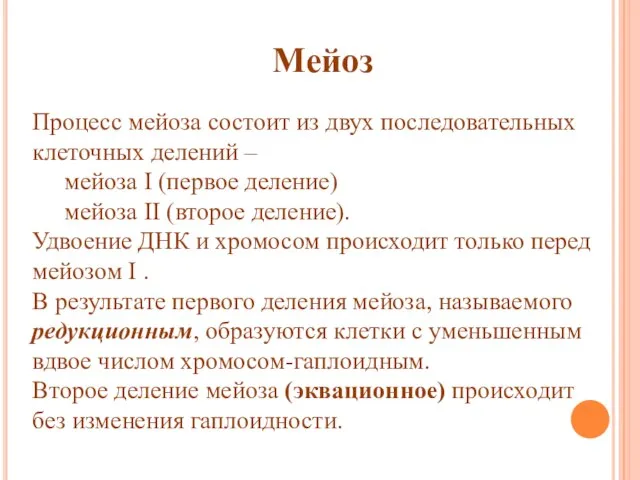 Мейоз Процесс мейоза состоит из двух последовательных клеточных делений – мейоза