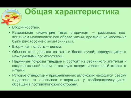 Общая характеристика Вторичноротые. Радиальная симметрия тела: вторичная — развилась под влиянием