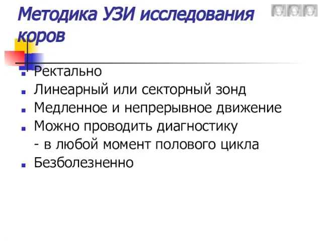 Методика УЗИ исследования коров Ректально Линеарный или секторный зонд Медленное и