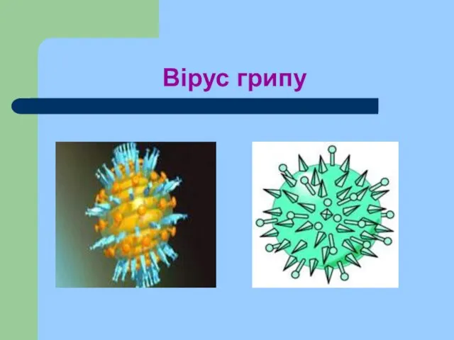 Вірус грипу