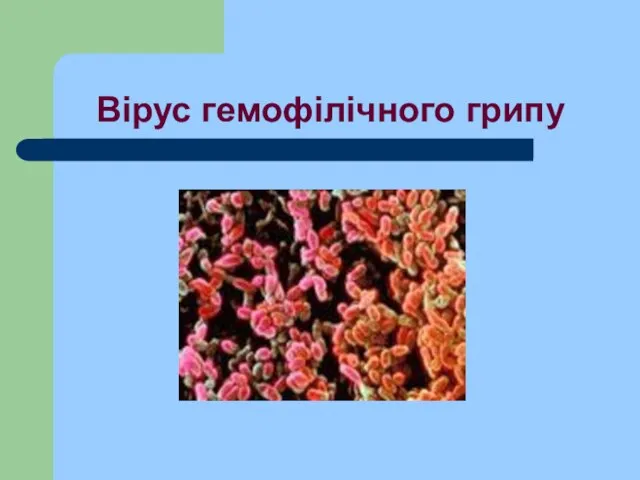 Вірус гемофілічного грипу