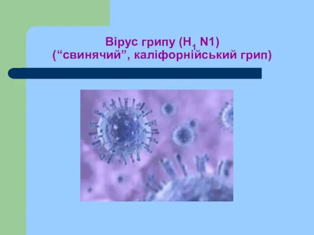 Вірус грипу (H1 N1) (“свинячий”, каліфорнійський грип)