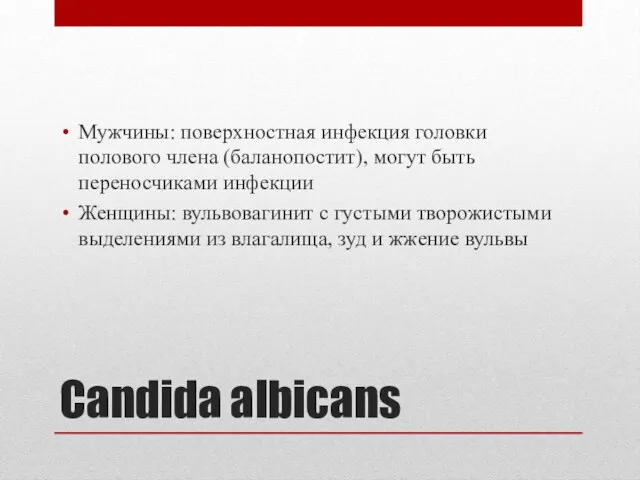 Candida albicans Мужчины: поверхностная инфекция головки полового члена (баланопостит), могут быть