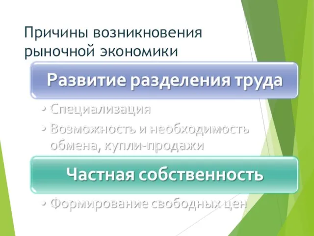 Причины возникновения рыночной экономики