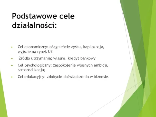 Podstawowe cele działalności: Cel ekonomiczny: ośągnieńcie zysku, kapilazacja, wyjście na rynek