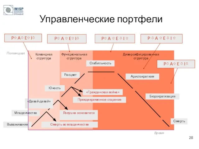 Управленческие портфели Выхаживание Время Потенциал Командная структура Функциональная структура Диверсифицированная структура