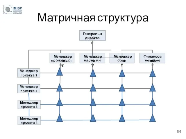 Матричная структура