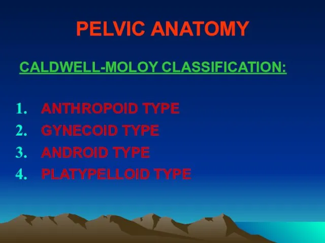 PELVIC ANATOMY CALDWELL-MOLOY CLASSIFICATION: ANTHROPOID TYPE GYNECOID TYPE ANDROID TYPE PLATYPELLOID TYPE