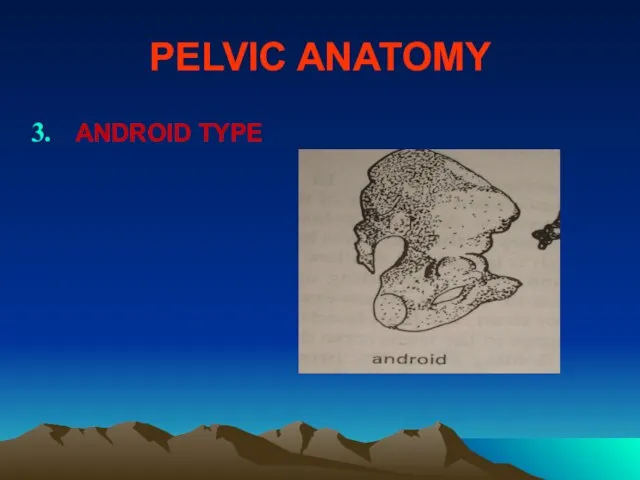 PELVIC ANATOMY ANDROID TYPE