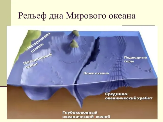 Рельеф дна Мирового океана