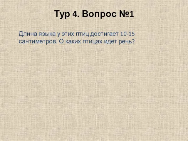 Тур 4. Вопрос №1 Длина языка у этих птиц достигает 10-15