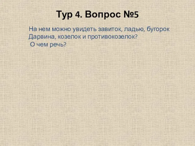 Тур 4. Вопрос №5 На нем можно увидеть завиток, ладью, бугорок