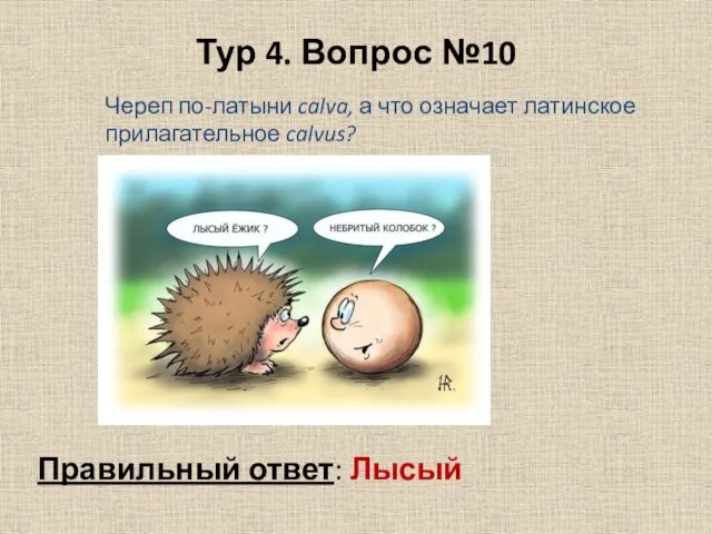 Тур 4. Вопрос №10 Правильный ответ: Лысый Череп по-латыни calva, а что означает латинское прилагательное calvus?