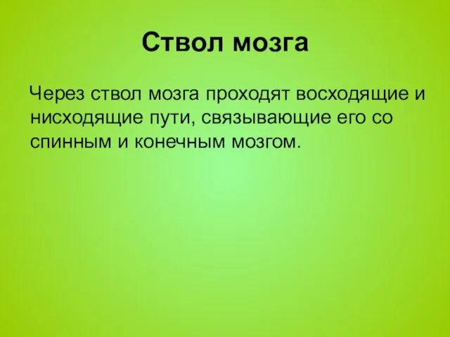 Через ствол мозга проходят восходящие и нисходящие пути, связывающие его со