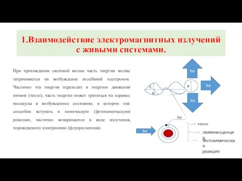 1.Взаимодействие электромагнитных излучений с живыми системами. При прохождении световой волны часть