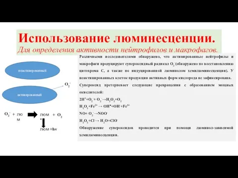 Использование люминесценции. Для определения активности нейтрофилов и макрофагов. Различными исследователями обнаружено,