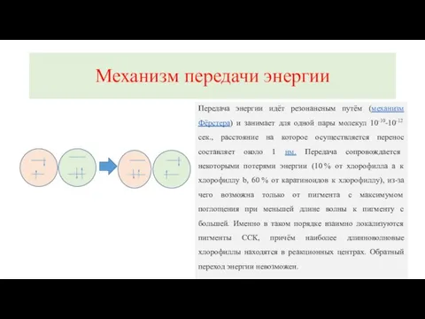 Механизм передачи энергии Передача энергии идёт резонансным путём (механизм Фёрстера) и