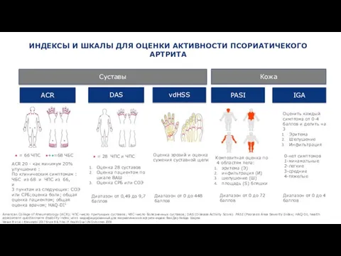 ИНДЕКСЫ И ШКАЛЫ ДЛЯ ОЦЕНКИ АКТИВНОСТИ ПСОРИАТИЧЕКОГО АРТРИТА Суставы ACR ●