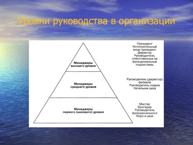 Уровни руководства в организации