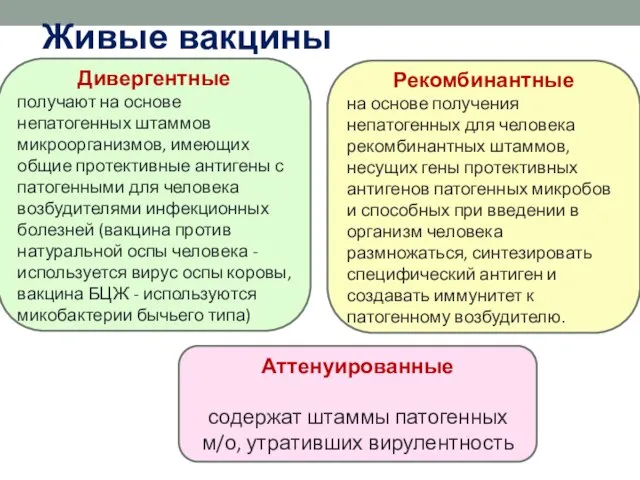 Живые вакцины Аттенуированные содержат штаммы патогенных м/о, утративших вирулентность Дивергентные получают