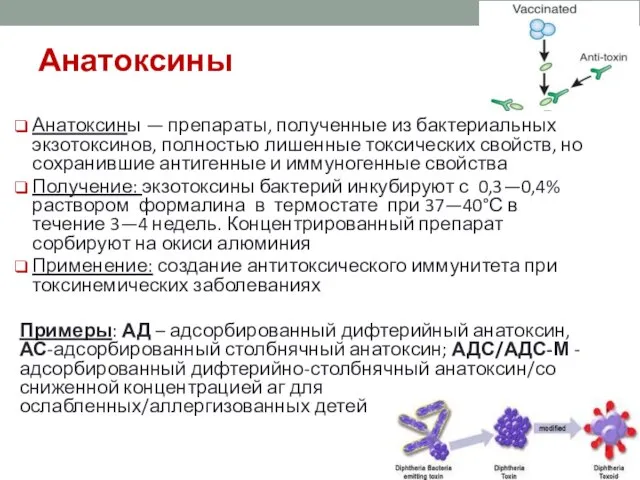 Анатоксины Анатоксины — препараты, полученные из бактериальных экзотоксинов, полностью лишенные токсических