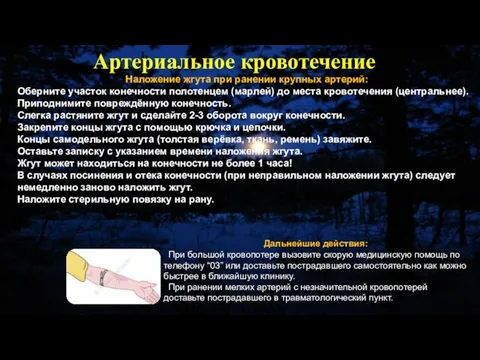 Наложение жгута при ранении крупных артерий: Оберните участок конечности полотенцем (марлей)