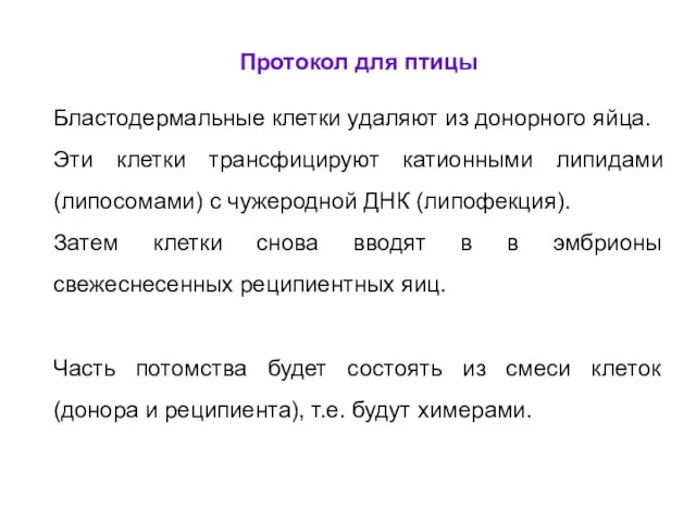 Протокол для птицы Бластодермальные клетки удаляют из донорного яйца. Эти клетки