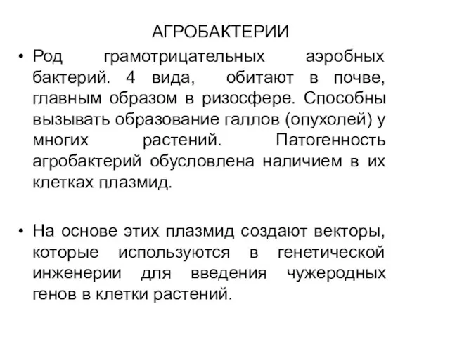 АГРОБАКТЕРИИ Род грамотрицательных аэробных бактерий. 4 вида, обитают в почве, главным