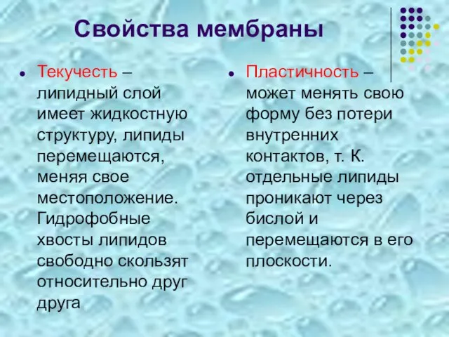 Свойства мембраны Текучесть – липидный слой имеет жидкостную структуру, липиды перемещаются,