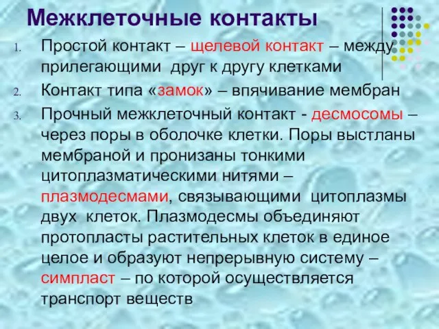 Межклеточные контакты Простой контакт – щелевой контакт – между прилегающими друг