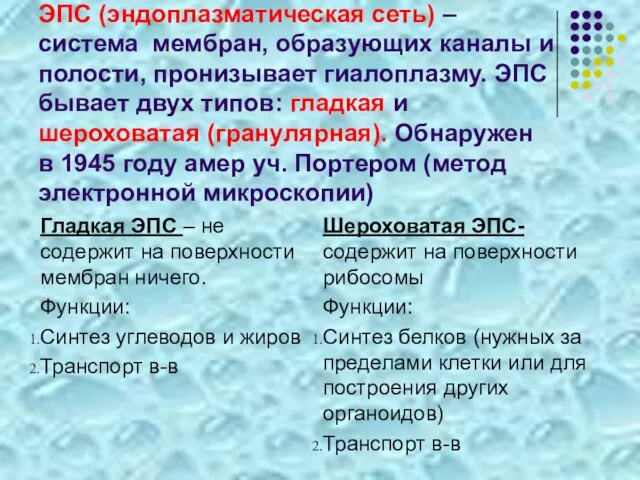 ЭПС (эндоплазматическая сеть) –система мембран, образующих каналы и полости, пронизывает гиалоплазму.