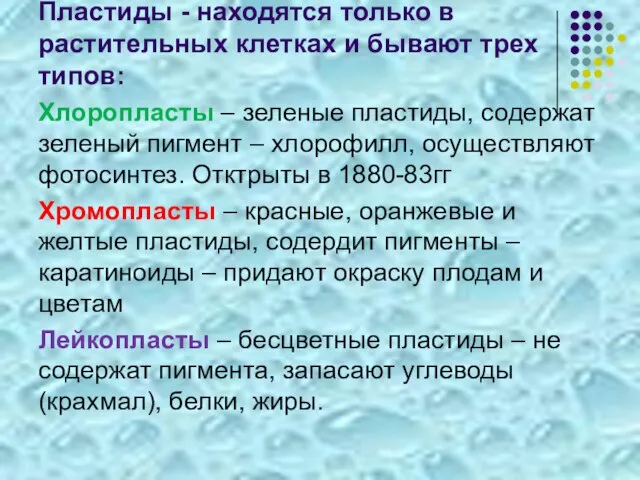 Пластиды - находятся только в растительных клетках и бывают трех типов: