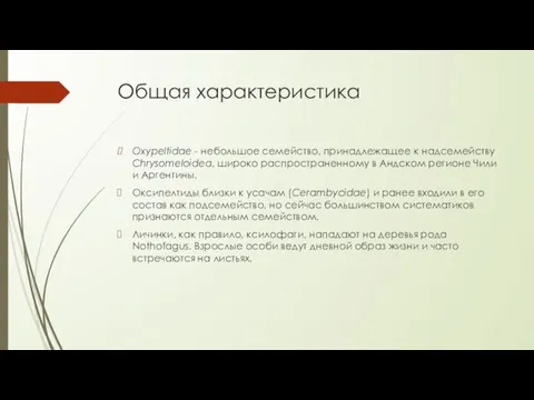 Общая характеристика Oxypeltidae - небольшое семейство, принадлежащее к надсемейству Chrysomeloidea, широко