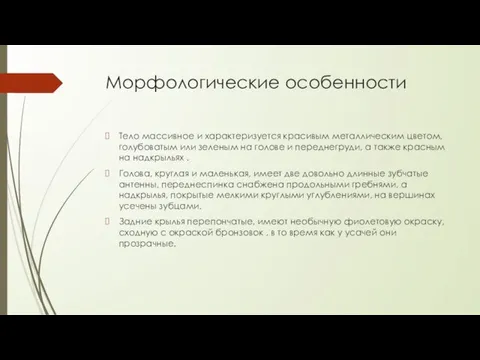 Морфологические особенности Тело массивное и характеризуется красивым металлическим цветом, голубоватым или