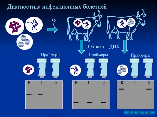 Диагностика инфекционных болезней ?