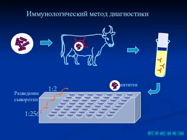 Иммунологический метод диагностики