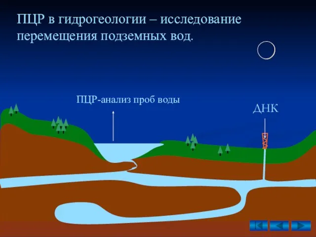 ПЦР в гидрогеологии – исследование перемещения подземных вод. ДНК ПЦР-анализ проб воды