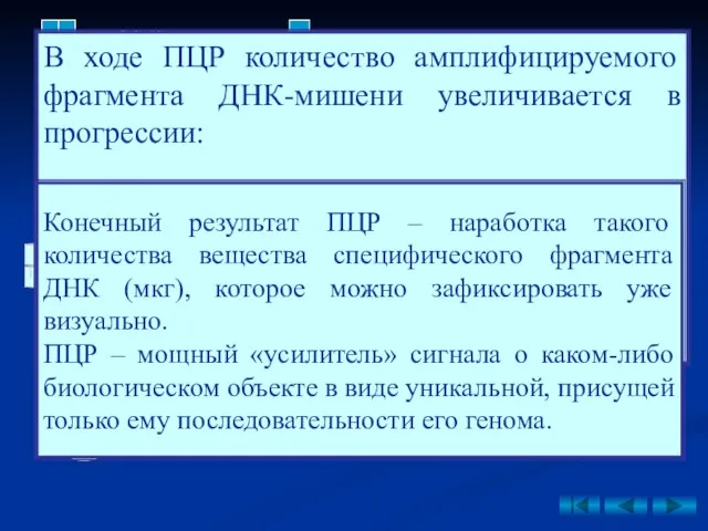 30-й цикл: 1 молекула 60 молекул 2n 1 073 741 824