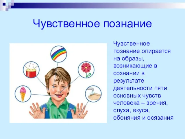 Чувственное познание Чувственное познание опирается на образы, возникающие в сознании в