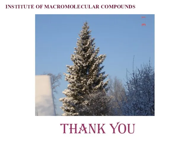 Thank you INSTITUTE OF MACROMOLECULAR COMPOUNDS