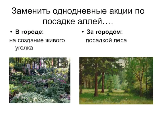 Заменить однодневные акции по посадке аллей…. В городе: на создание живого уголка За городом: посадкой леса