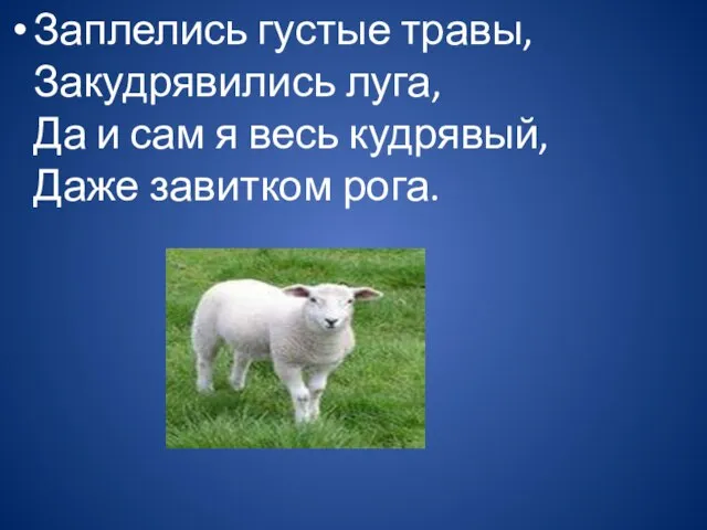 Заплелись густые травы, Закудрявились луга, Да и сам я весь кудрявый, Даже завитком рога.