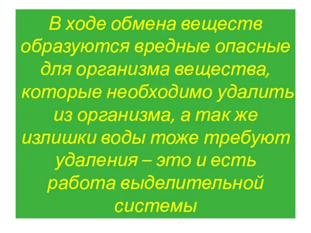 В ходе обмена веществ образуются вредные опасные для организма вещества, которые