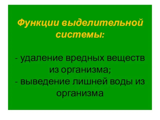 Функции выделительной системы: - удаление вредных веществ из организма; - выведение лишней воды из организма