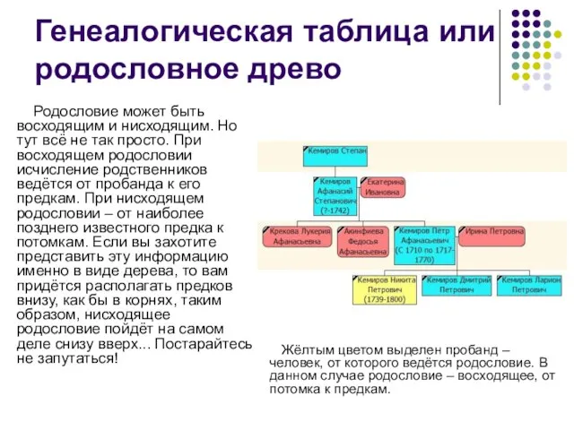 Генеалогическая таблица или родословное древо Родословие может быть восходящим и нисходящим.